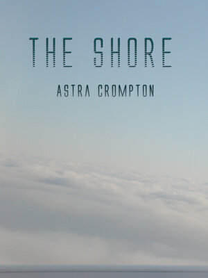 cover image of The Shore